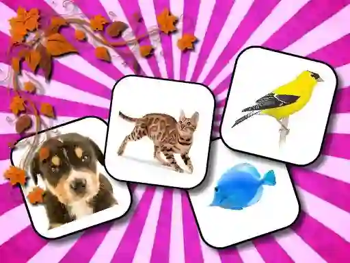 游戏Animals Memory在线