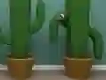 游戏Cactus Cube在线