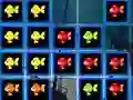 游戏1010 Fish Blocks在线