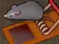 游戏Feed the Mouse在线