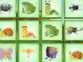 游戏Find The Insect在线