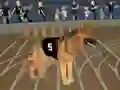 游戏Crazy Dog Racing Fever在线