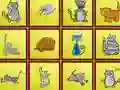 游戏Cats Findiff在线