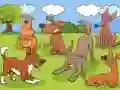 游戏Animals Differences在线