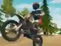 游戏Dirt Bike Enduro Racing在线