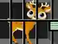 游戏Animals Rescue在线