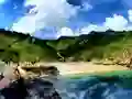 游戏Parrot House Escape在线