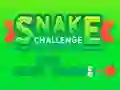 游戏Snake Challenge在线