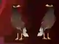 游戏Peikin Duck Escape在线