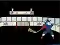 游戏Capitaine Cage Hockey在线