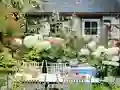 游戏Flower Garden在线