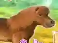 游戏My Dear Pony在线
