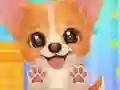游戏Adopt Your Pet Puppy在线