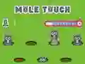 游戏Pole Touch在线