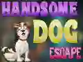 游戏Handsome Dog Escape在线