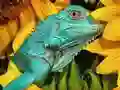 游戏Ultimate Puzzles Animals 6在线