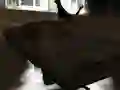 游戏Drift Z在线