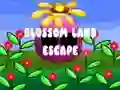 游戏Blossom Land Escape在线