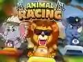 游戏Animal Racing在线