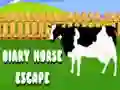 游戏Diary Horse Escape在线