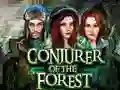 游戏Conjurer Of The Forest在线