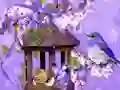 游戏Wonderful Humming Bird Land Escape在线