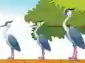游戏Violet Bird Escape在线