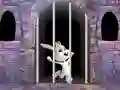 游戏Victory Rabbit Escape在线