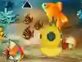 游戏Save The Mother Fish在线