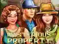 游戏Mysterious Property在线