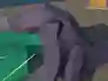 游戏Hakaiju在线