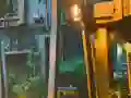 游戏Playful Tortoise Escape在线