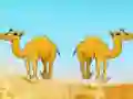 游戏Desert Gold Rush The Great Treasure Escape在线