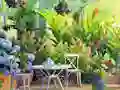 游戏Find The Cute Pandas在线