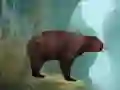 游戏Caged Tiger Cub Escape在线