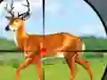 游戏Wild Hunt Hunting Games 3D在线