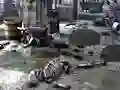 游戏Friends Rescue From Skeleton在线