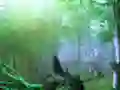 游戏Trapped Honeybee Escape在线