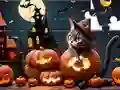 游戏Jigsaw Puzzle: Halloween Cat在线