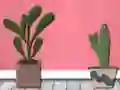 游戏Find Houseplant在线