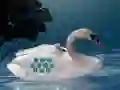 游戏Save The Swan Mother Child在线