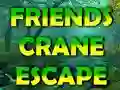 游戏Friends Crane Escape在线