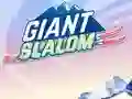 游戏Giant Slalom在线
