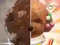 游戏Pet Makeup Master在线