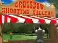 游戏Crossbow Shooting Gallery在线