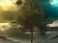 游戏Illusion Jungle Fairy Escape在线