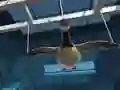 游戏Goose Museum在线