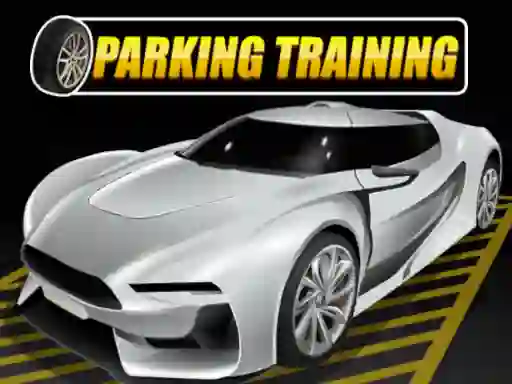 游戏Parking Training在线