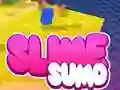 游戏Sumo Slime 3D在线