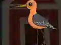 游戏Cute Godwit Escape在线